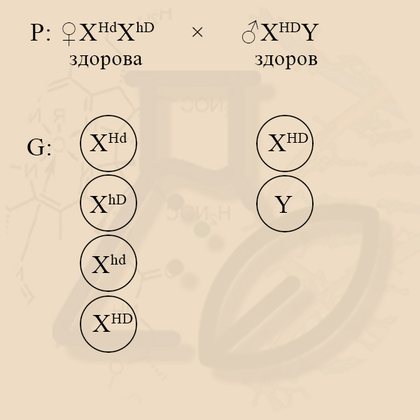 Сцепленное с Х-хромосомой наследование Задача на сцепленное с полом наследование